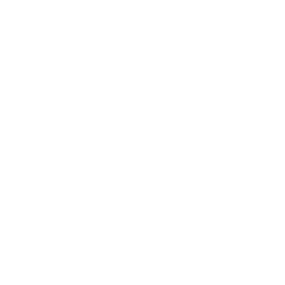 Cyber Nel
